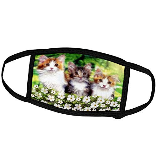 3dRose SmudgeArt Cat Designs - Cat K - Face Covers -fc-15730-1-