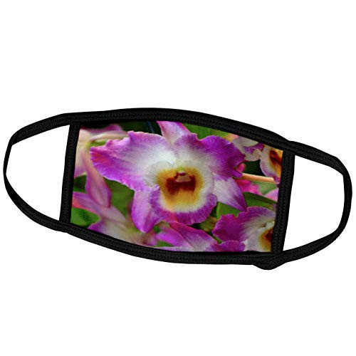 3dRose SmudgeArt Flower Art Designs - Orchid - G - Face Covers -fc-8992-3-