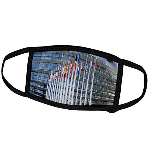 3dRose Danita Delimont - Flags - Union Parliament and Flags Strasbourg France - EU09 DFR0353 - David R. Frazier - Face Masks -fm-81491-1- 3dRose Danita Delimont - Flags - Union Parliament and Flags Strasbourg France - EU09 DFR0353 - David R. Frazier - Face Masks -fm-81491-1-