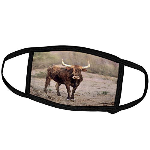 3dRose Danita Delimont - Arizona - Longhorn Cattle in Arizona - US03 DFR0013 - David R. Frazier - Face Masks -fm-87837-1- 3dRose Danita Delimont - Arizona - Longhorn Cattle in Arizona - US03 DFR0013 - David R. Frazier - Face Masks -fm-87837-1-