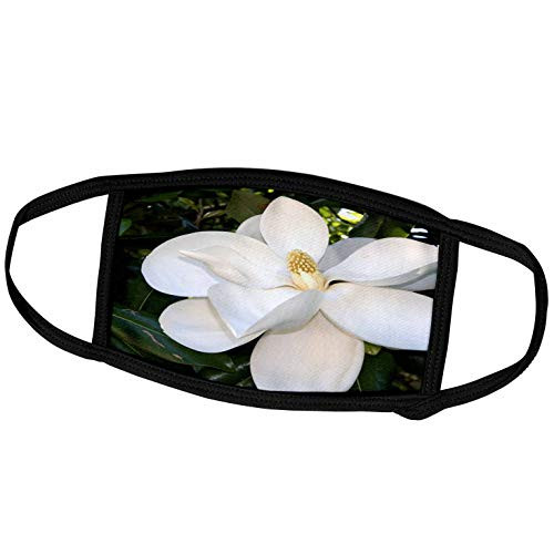 3dRose Danita Delimont - Trees - Magnolia Tree - US04 DFR0009 - David R. Frazier - Face Masks -fm-88102-1-
