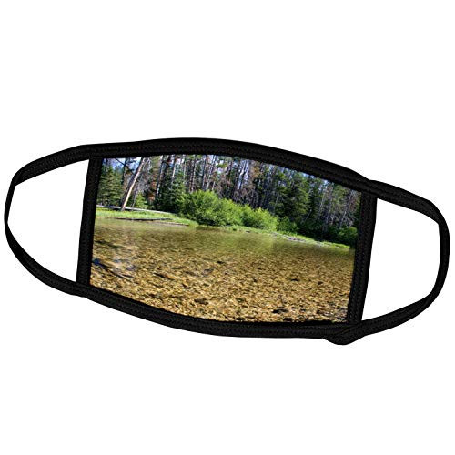 3dRose Danita Delimont - Lakes - Alturas Lake Sawtooth NRA Idaho - US13 DFR0336 - David R. Frazier - Face Masks -fm-89985-1-
