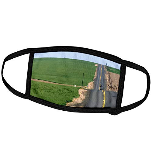 3dRose Danita Delimont - Idaho - Country Road Wheat Fields Pendleton Idaho - US13 DFR0677 - David R. Frazier - Face Masks -fm-90026-1-