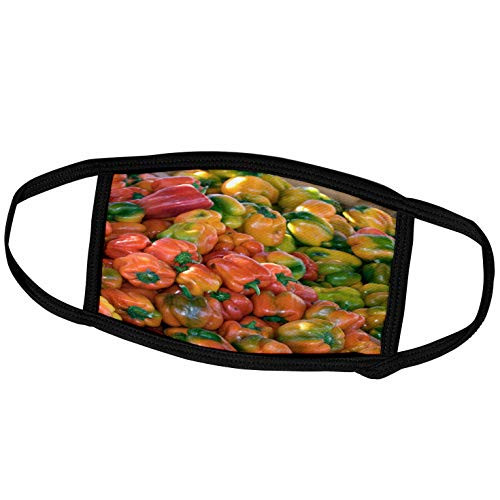 3dRose Danita Delimont - Idaho - Peppers at Roadside Stand Fruitland Idaho - US13 DFR0780 - David R. Frazier - Face Masks -fm-90041-1-
