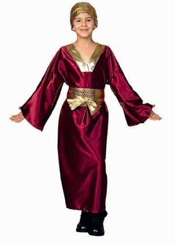 RG Costumes Wiseman Costume Large-12-14 Wine