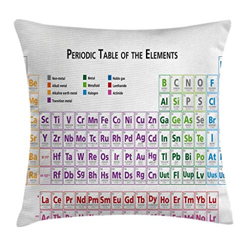 Ambesonne Science Throw Pillow Cushion Cover, Chemistry Primary School Students Geek Nerd Lessons Classes Smart Kids Art Print, Decorative Square Accent Pillow Case, 16 X 16 Inches, Multicolor
