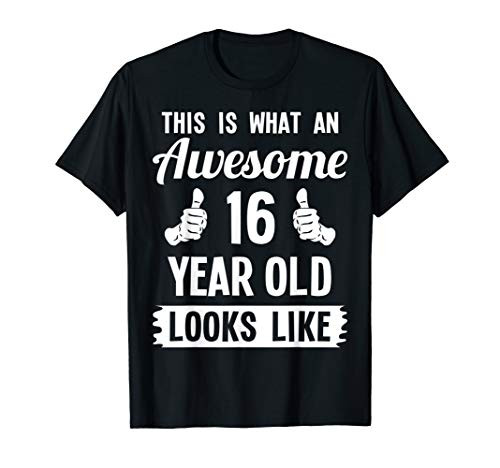 This Is What An Awesome 16 Year Old Looks Like Birthday Gift T-Shirt