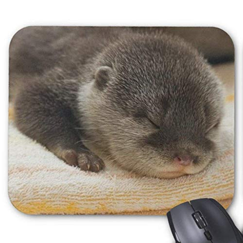 Sleepy Otter Mouse Pad 18×22 cm