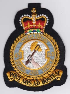 RAF Patch b 63 Squadron Royal Air Force Crest Hawk Jet Training 106mm 78mm THERMOADHESIVE Embroidered Patches Patch