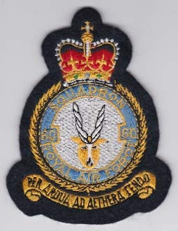 RAF Patch b 60 Squadron Royal Air Force Crest Pembroke Covert 106mm 81mm THERMOADHESIVE Embroidered Patches Patch