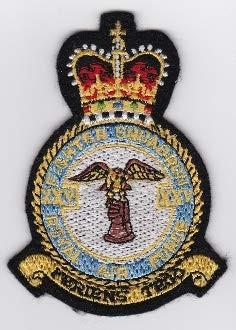 RAF Patch b 25 Squadron Royal Air Force Crest Tornado F3 98mm 73mm THERMOADHESIVE Embroidered Patches Patch