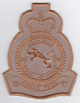 RAF Patch b 99 Squadron Royal Air Force Crest C17 Brize Norton s 114mm 88mm THERMOADHESIVE Embroidered Patches Patch