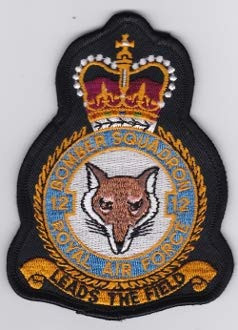 RAF Patch b 12 Squadron Royal Air Force Crest Buccaneer S2 B c E 109mm 81mm THERMOADHESIVE Embroidered Patches Patch