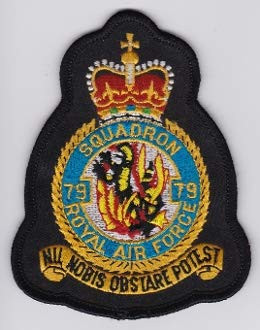 RAF Patch b 79 Squadron Royal Air Force Crest 1 TWU Hawk T 1 a 108mm 84mm THERMOADHESIVE Embroidered Patches Patch