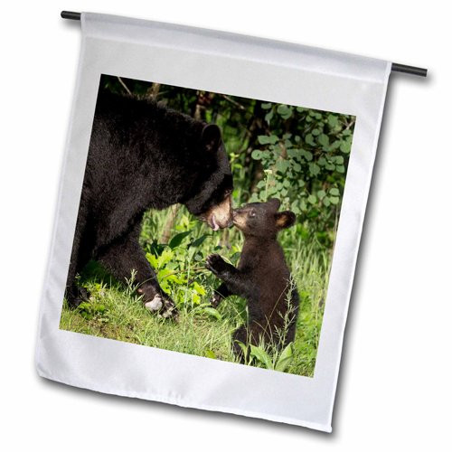 3dRose fl_190588_1 USA, Minnesota, Sandstone USA Black Bear Mother and Cub USA Garden Flag, 12 by 18"