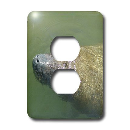 3dRose lsp_7481_6"Mama Manatee" 2 Plug Outlet Cover Multicolor