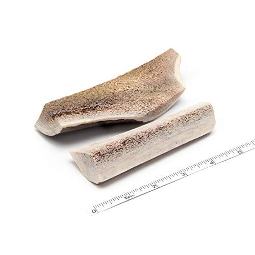 Devil Dog Pet Co Split Antler Dog Chew - Premium Split Elk Antlers for Dogs - Long Lasting for Non Aggressive Chewers - No Mess No Odor - Wild Shed Elk Horns - Veteran Owned -2 Pack QS Small- Devil Dog Pet Co Split Antler Dog Chew - Premium Split Elk Antlers for Dogs - Long Lasting for Non Aggressive Chewers - No Mess No Odor - Wild Shed Elk Horns - Veteran Owned -2 Pack QS Small-