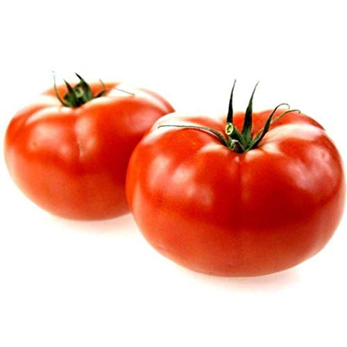 LGKO Tomato Marglobe S-e-e-d~s