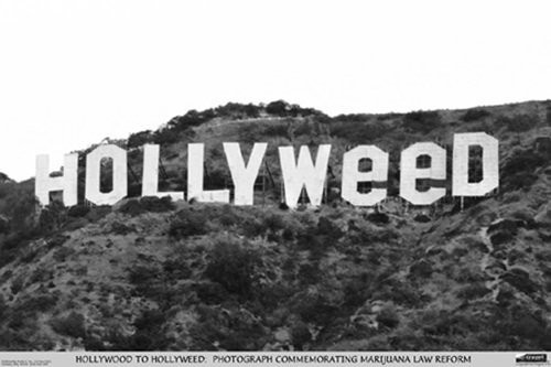 Studio B Hollyweed Laminated Poster - 36.5" x 24.5"