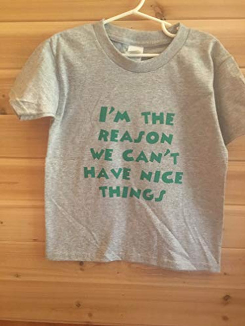 Funny kid tshirt.I'm the reason we can't have nice things Funny kid tshirt.I'm the reason we can't have nice things