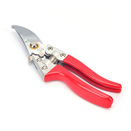 N-E Dushudianzhi Pruning Shears? Garden Shears ?Household Pruning Fruit Cut ?Green Tools Suitable for Orchard Gardens -Color - Red-
