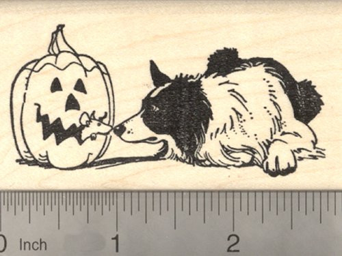 Halloween Border Collie Dog Rubber Stamp with Jack o' Lantern Rat