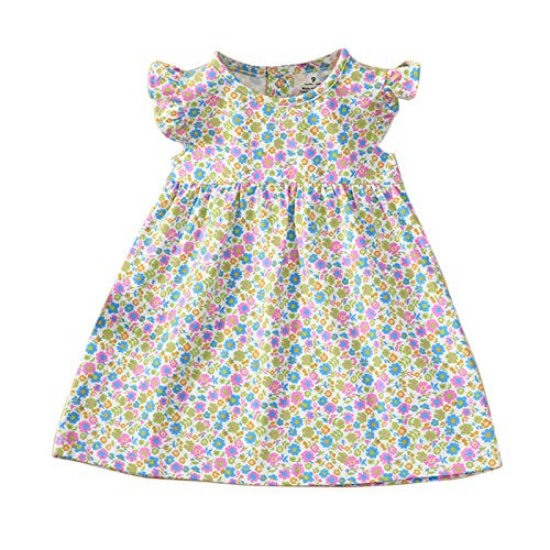 Lurryly Summer Casual Sleeveless Soft Cute Floral Printed Princess Dress for 6M-3Y Toddler Baby Girls Beach Sundress Multicolor-B 6-9 Months Lurryly Summer Casual Sleeveless Soft Cute Floral Printed Princess Dress for 6M-3Y Toddler Baby Girls Beach Sundress Multicolor-B 6-9 Months
