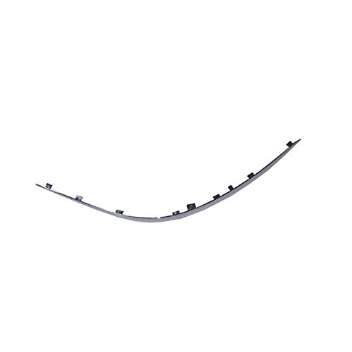 CPP Chrome Front Passenger Side Bumper Trim for Mercedes-Benz E-Class MB1059115