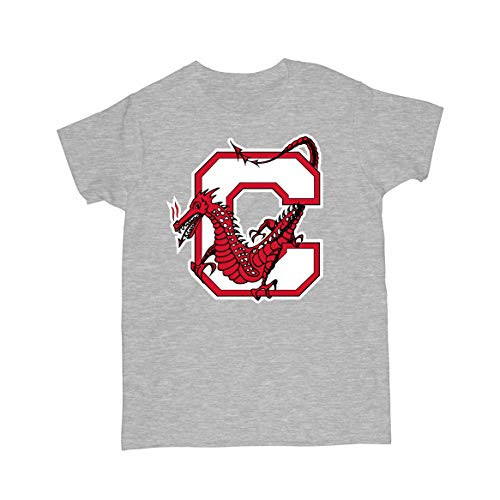 Official NCAA SUNY Cortland - 03cd-1 G.A.5000L S-Gry M