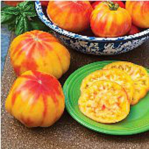 M.r Stripey Tomato - 50 S.eeds