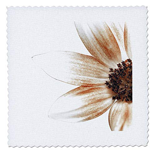 3dRose Macro photograph of the side of a sunflower in sepia tones. - Quilt Squares -qs-337290-4- 3dRose Macro photograph of the side of a sunflower in sepia tones. - Quilt Squares -qs-337290-4-