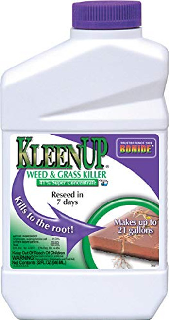 Kleenup W and G Conc 32oz