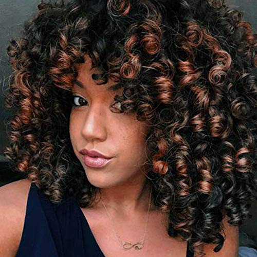 Curly Hair Wigs For Black WomenNatural Hair Wigs For Black WomenCurly Wig Kinkys Curly Afro Wigs Human Hair Lace Front Short Fluffy Wavy Full Synthetic Wigs With Bangs 14" 310g?WL9192 Brown? Curly Hair Wigs For Black WomenNatural Hair Wigs For Black WomenCurly Wig Kinkys Curly Afro Wigs Human Hair Lace Front Short Fluffy Wavy Full Synthetic Wigs With Bangs 14" 310g?WL9192 Brown?