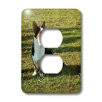 3dRose lsp_963_6 Welsh Cardigan Corgi 2 Plug Outlet Cover