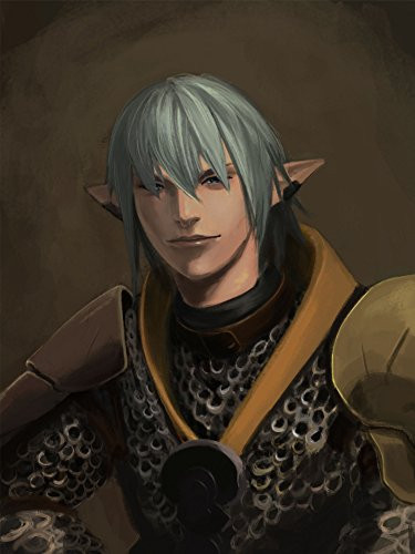 Printing Pira - Final Fantasy XIV Online Haurchefant Greystone Poster -18x24-