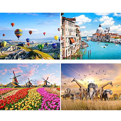 4 Sets 500 Pieces Jigsaw Puzzles Intellectual Landscape Puzzles Educational Jigsaws Include Hot Air Balloon Animal Dutch Windmill and Canal Puzzles for Adults Teens and Family