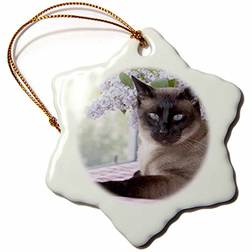 3dRose Danita Delimont - Cats - Siamese cat on tablecloth with lilacs - NA02 PWO0102 - PiperAnne Worcester - 3 inch Snowflake Porcelain Ornament (orn_140344_1) 3dRose Danita Delimont - Cats - Siamese cat on tablecloth with lilacs - NA02 PWO0102 - PiperAnne Worcester - 3 inch Snowflake Porcelain Ornament (orn_140344_1)