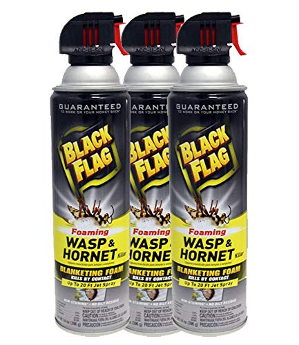 Black Flag -3-Pack Wasp  and  Hornet Killer Jet Stream Bug Pest Bee Spray 14oz