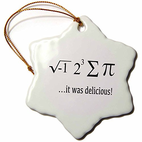3dRose orn_128179_1 I Ate Sum Pi, it was Delicious, Math Humor, Mathematics, Math Teacher Porcelain Snowflake Ornament, 3-Inch 3dRose orn_128179_1 I Ate Sum Pi, it was Delicious, Math Humor, Mathematics, Math Teacher Porcelain Snowflake Ornament, 3-Inch