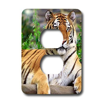 3dRose lsp_3132_6 Siberian Tiger 2 Plug Outlet Cover (Renewed)