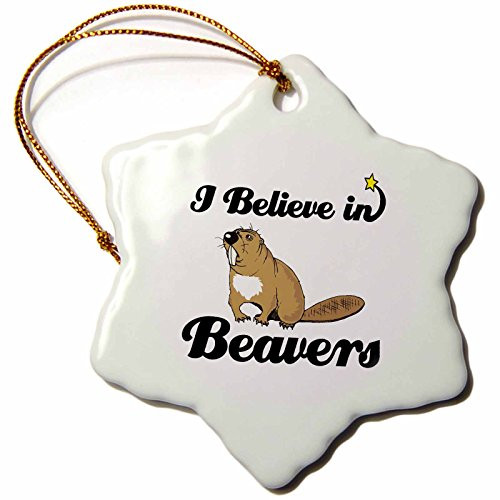 3dRose Dooni Designs I Believe In Designs - I Believe In Beavers - 3 inch Snowflake Porcelain Ornament (orn_104792_1)