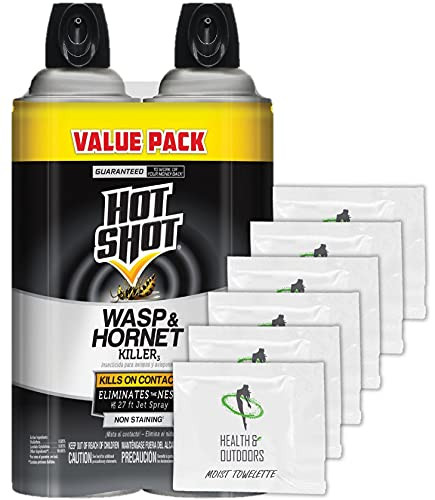 HAO Hot Shot 14 oz Wasp and Hornet Killer Spray -2 Pack- Plus Bonus Towelettes