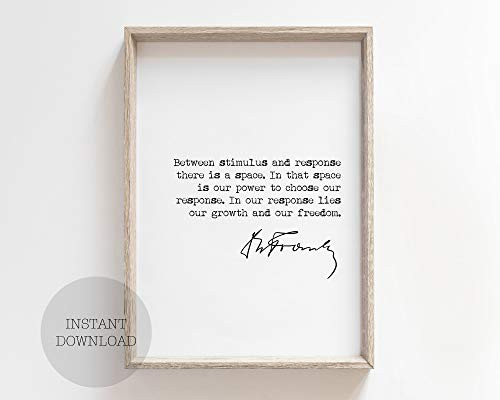 Dwi24isty Farmhouse Frame Wood Sign Viktor E Frankl Between Stimulus and Response There is A Space Quote with Signature 8 x 12 Inch Rustic Wood Sign with Frame