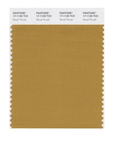 PANTONE Smart 17-1129X Color Swatch Card Wood Thrush