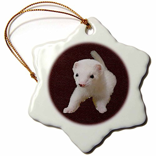 3dRose LLC Baby Albino Ferret 3-Inch Snowflake Porcelain Ornament 3dRose LLC Baby Albino Ferret 3-Inch Snowflake Porcelain Ornament
