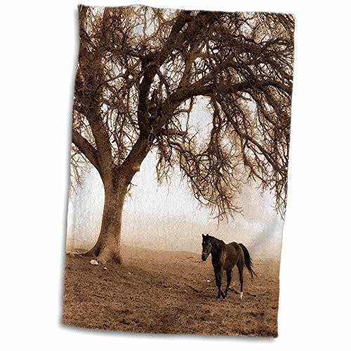 3D Rose Western Sepia Toned Horse on a Ranch with an Oak Tree TWL-202972-1 Towel 15" x 22" Multicolor
