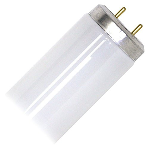 G E Lighting 38201 0 GE25W 33" CW Fluo Bulb