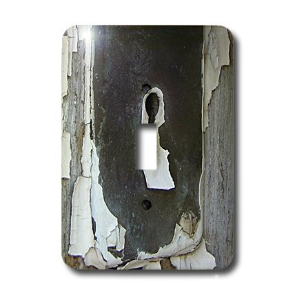 3dRose lsp_6436_1 Key Hole Single Toggle Switch Multicolor