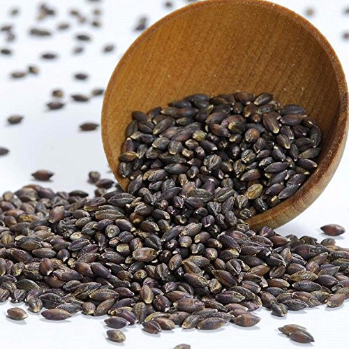 Barley - Black - 1 resealable bag - 14 oz