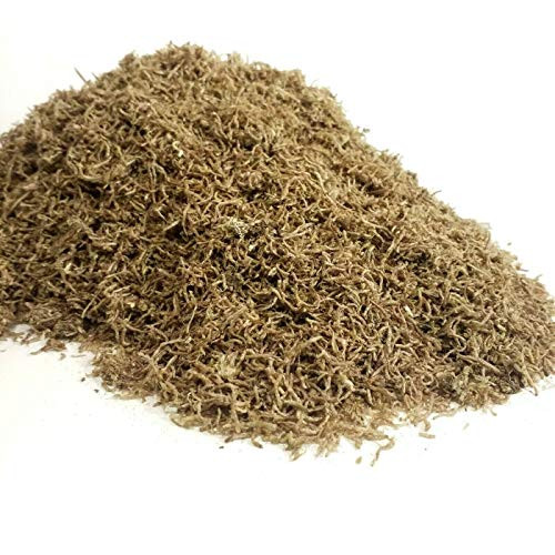 Aquatic Foods Inc. Bloodworms Freeze Dried Small B Grade Freeze Dried Floating Bloodworms1-2-lb